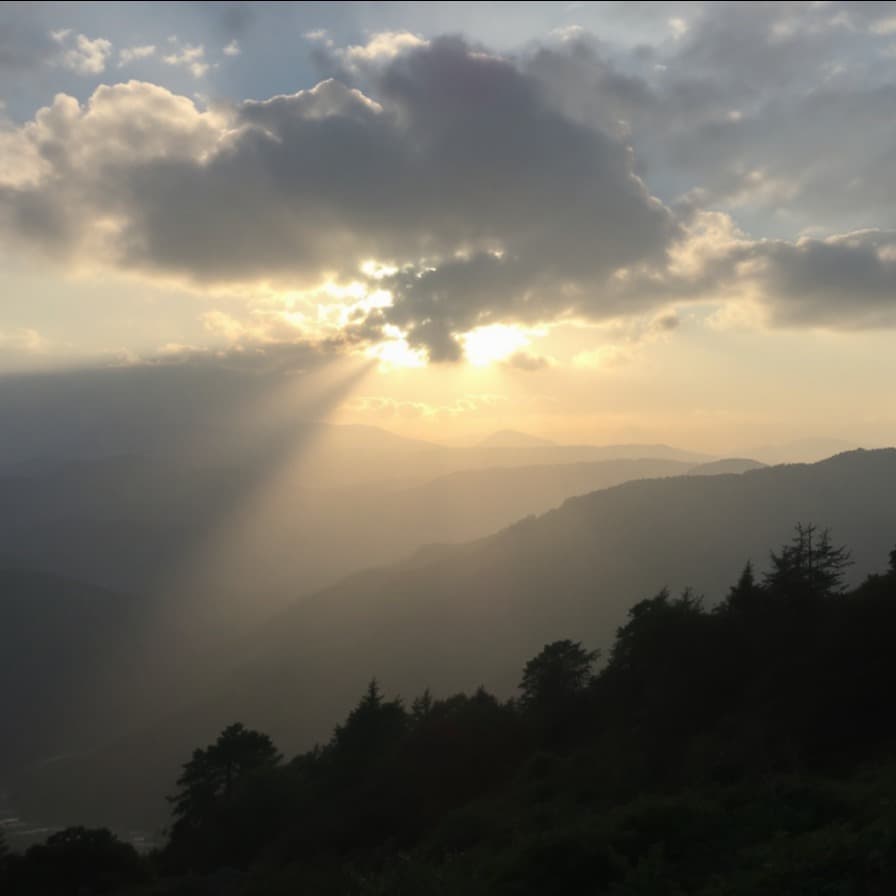 8 - The Beam of Purpose