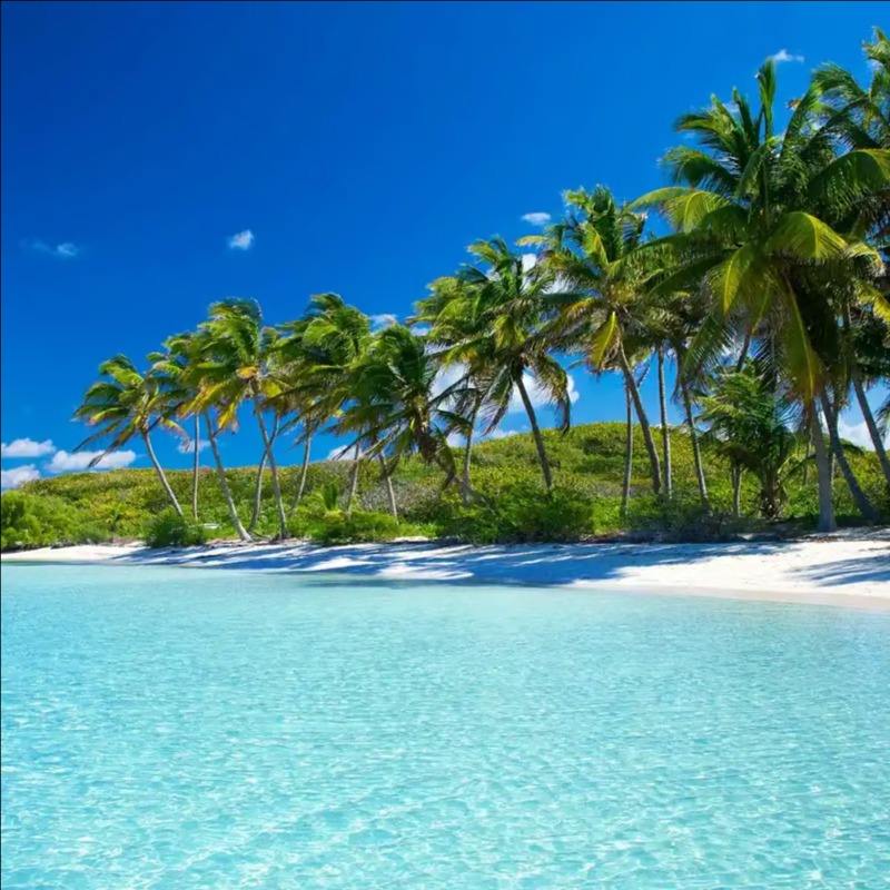 The Totankohan: Prologue