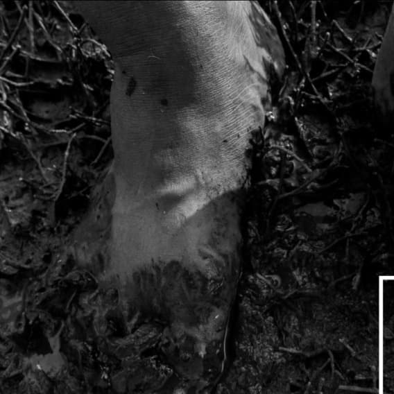 I Know I Shouldn't Be Writing About This...