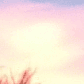 I Took My Heart Into the Fields of Light