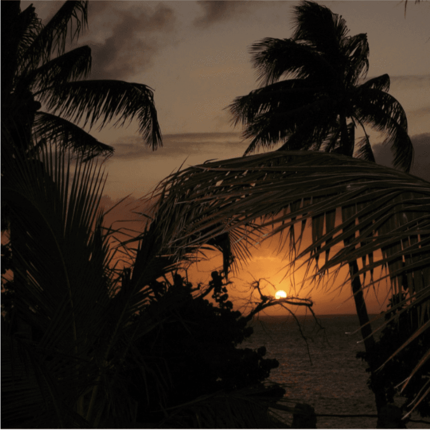 Unusual Behavior - Caribbean Dawn of Terror