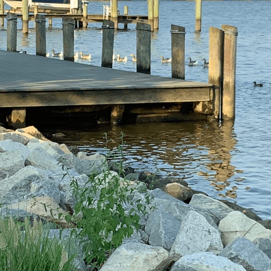 The Invisible Houseguest, from the collection of short stories entitled Unusual Behavior