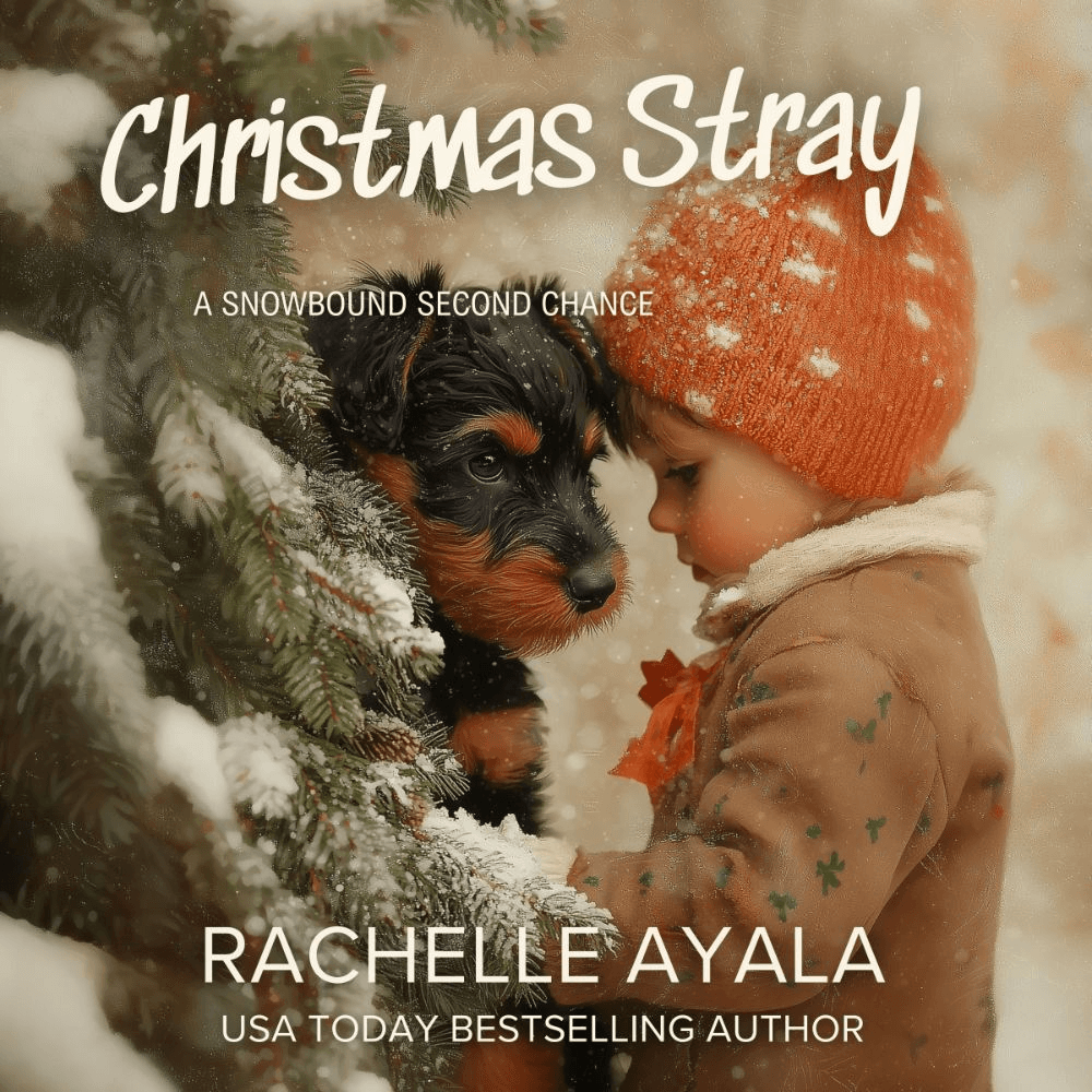 Christmas Stray: A Snowbound Second Chance