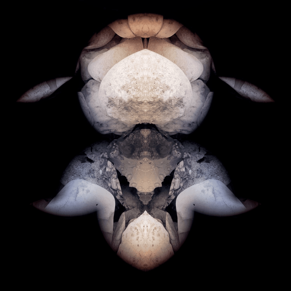 Crescent Chronicles 13: Strange Fruit