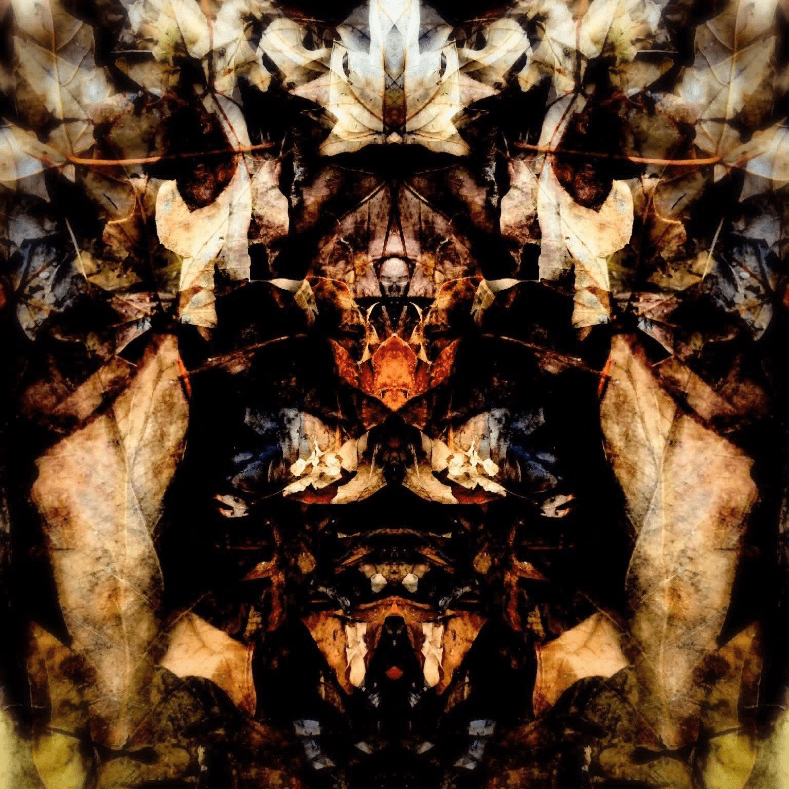 Crescent Chronicles 20: A Curse For Hire