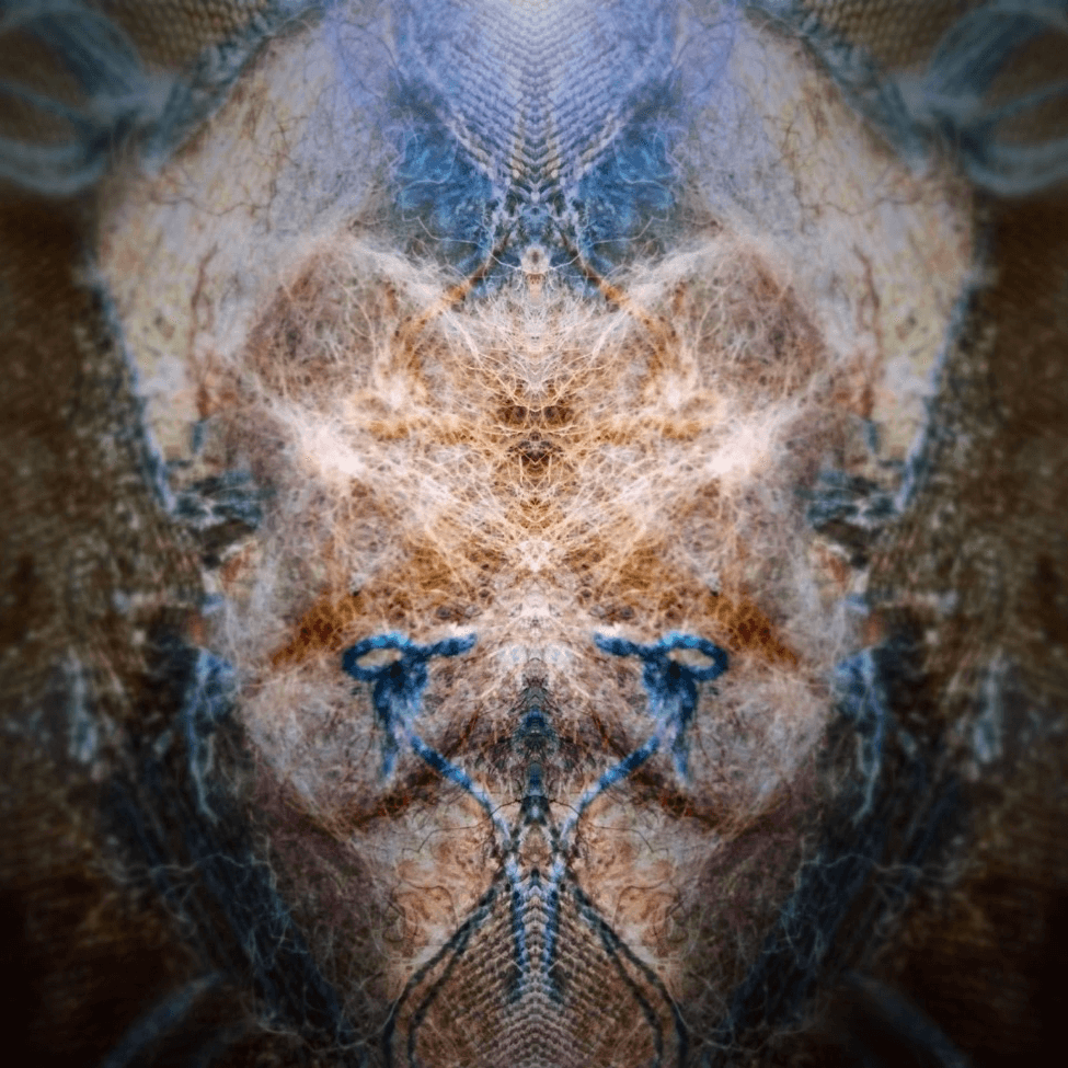 Crescent Chronicles 11: Destination Hill