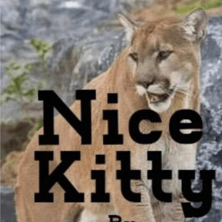 Nice Kitty