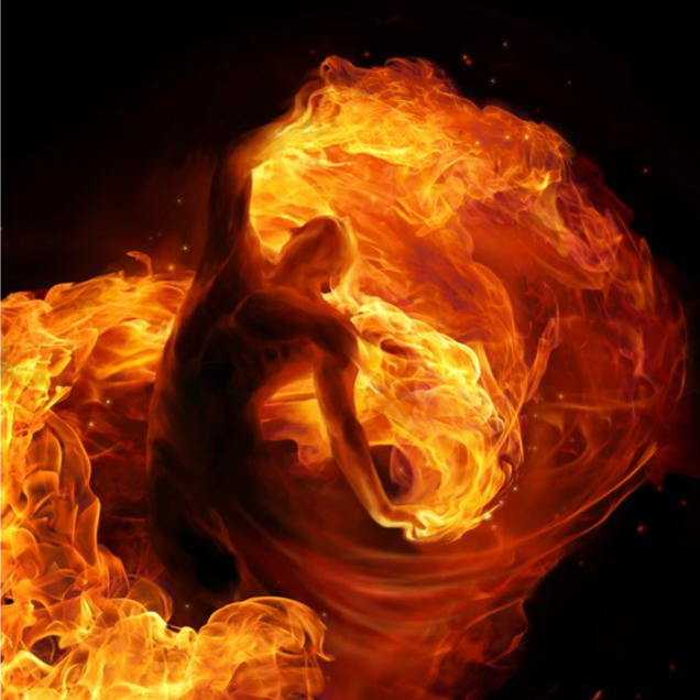 Rebellion's Flame: The Rise of a Shadow King