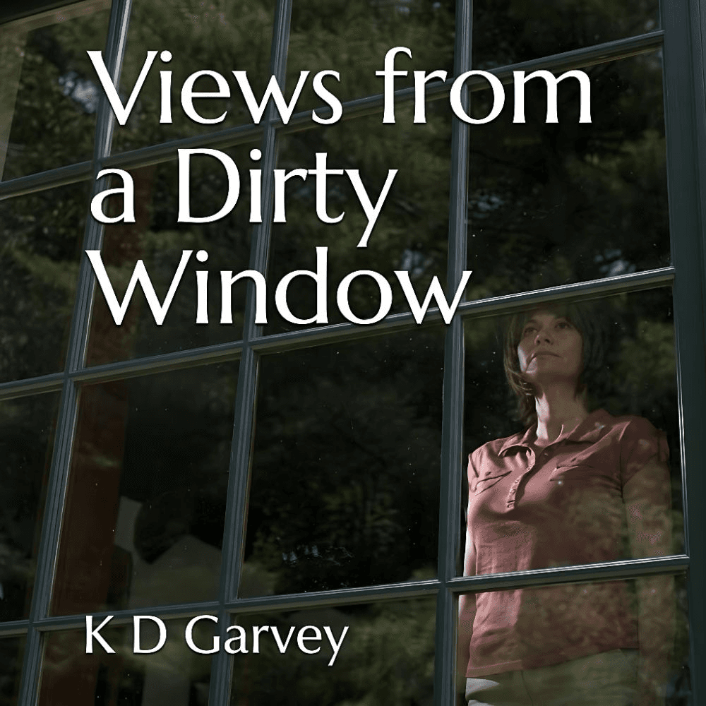 Views from a Dirty Window